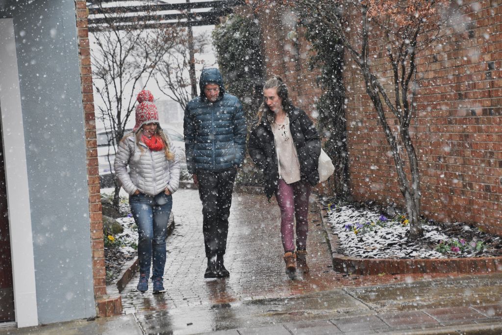 snow 1-31-20 040 (1024x683).jpg